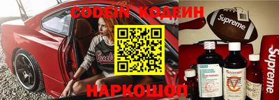 бошки Гагарин