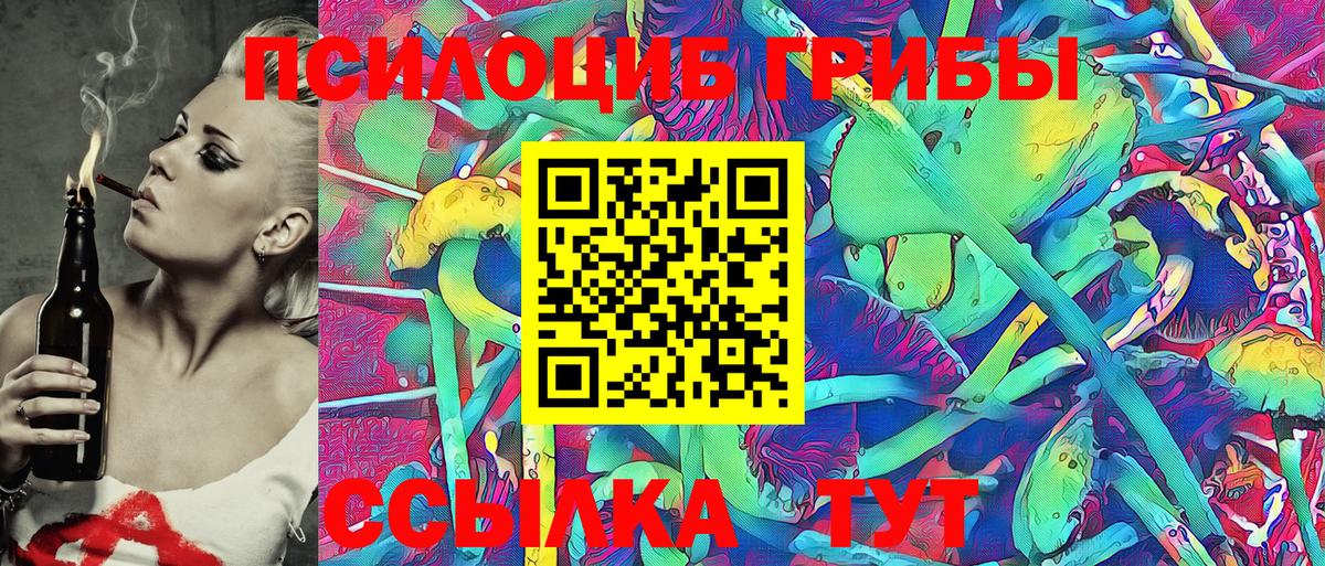 Бошки Шишки Моздок