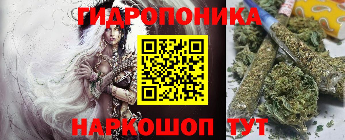 Марихуана ГИДРОПОН  Бошки марихуана планчик  Моздок  Вход с VPN 